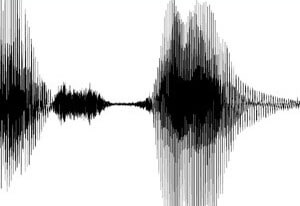 audio waveform